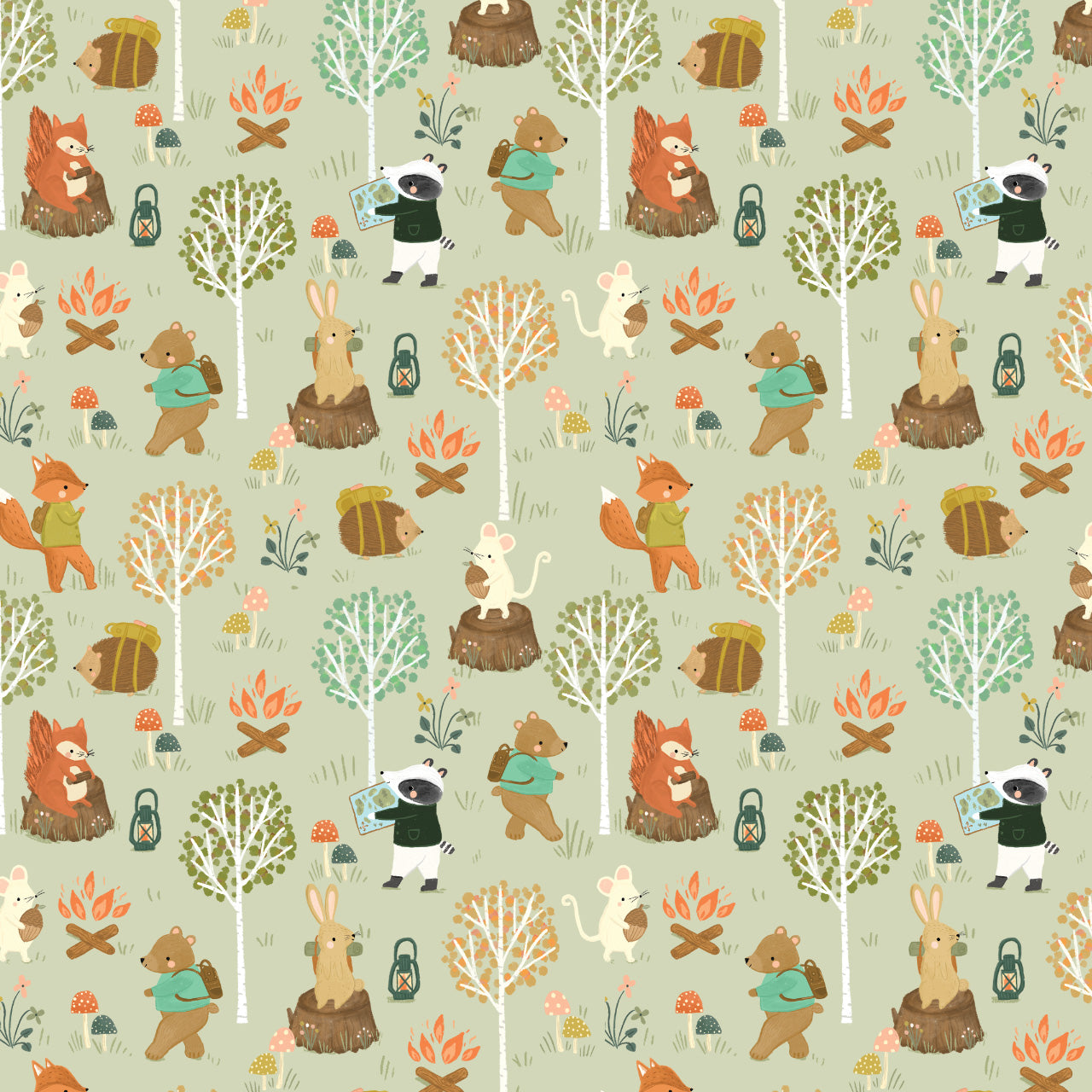 Cotone Americano Cedar Camp Animals