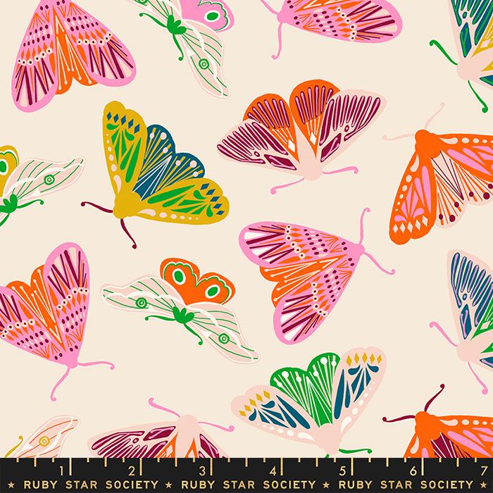Cotone Americano Fluttering Novelty Moth Insects Bold