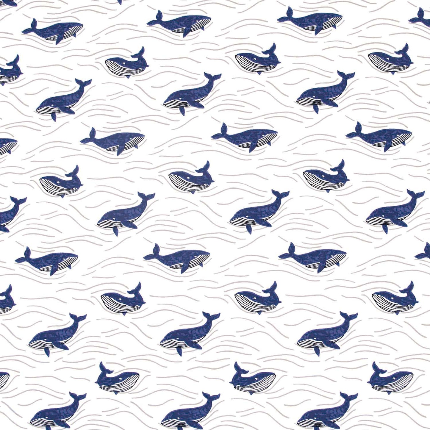 jersey-whales-katia-fabrics