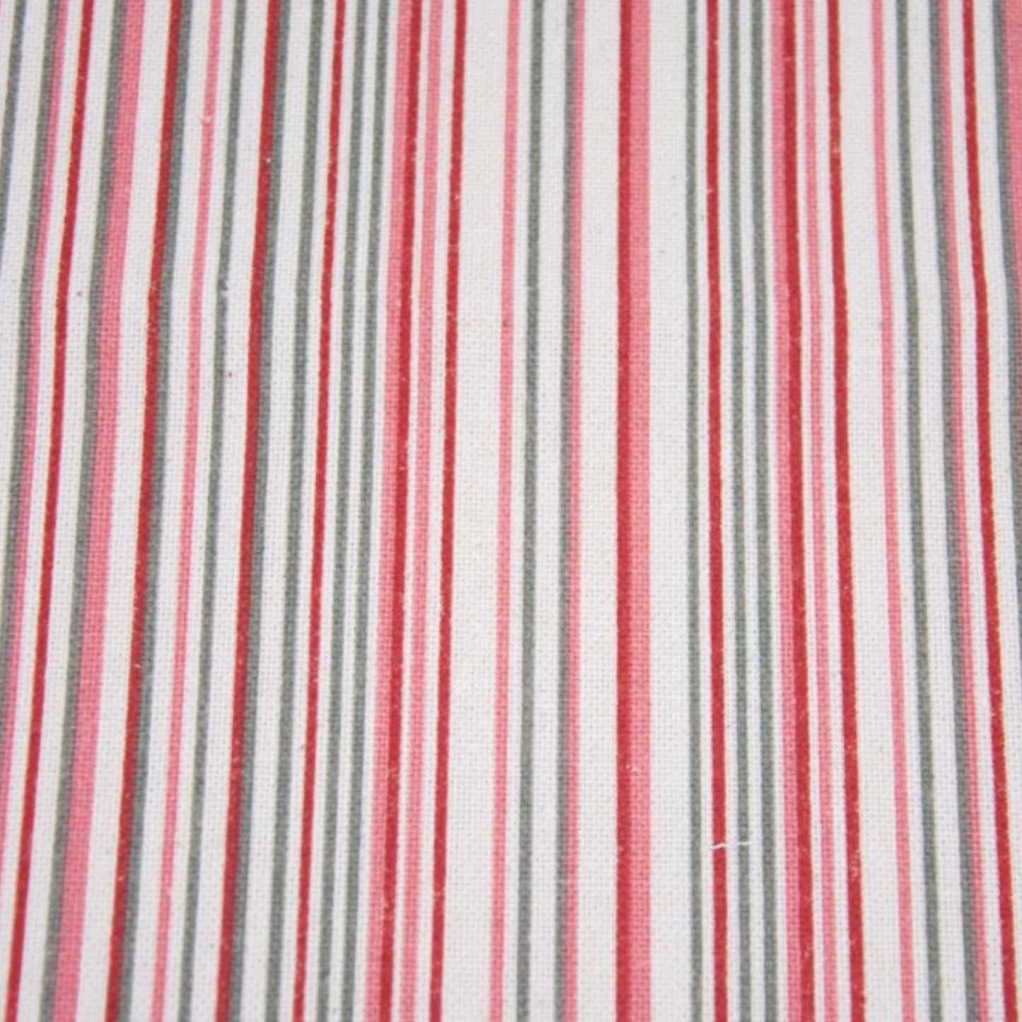 Canvas Cotone Spring Stripes