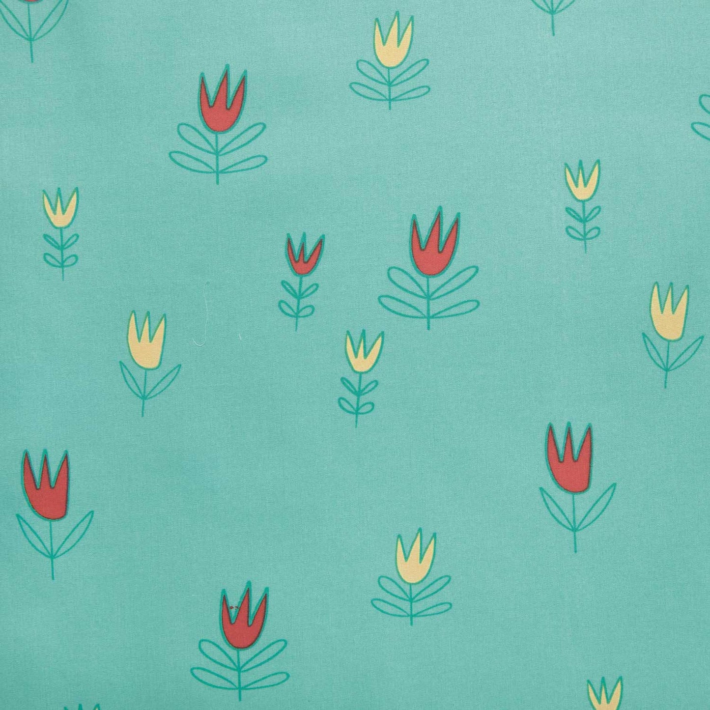 Tulips Aqua