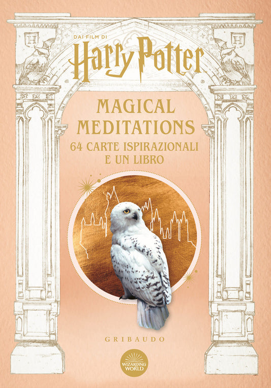 Harry Potter, Magical Meditations