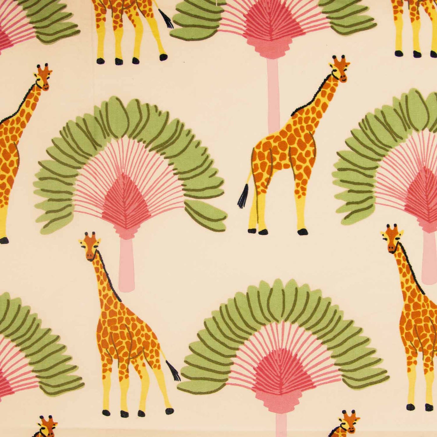 Giraffes