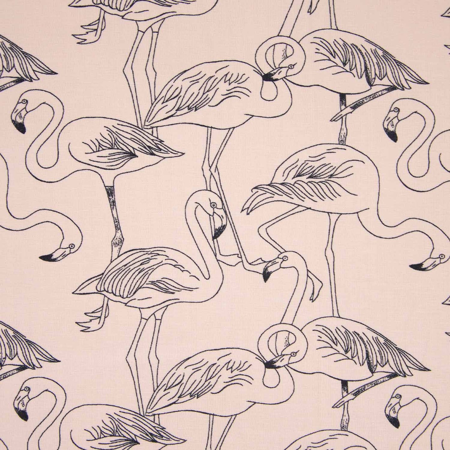 Jersey Coral Flamingos