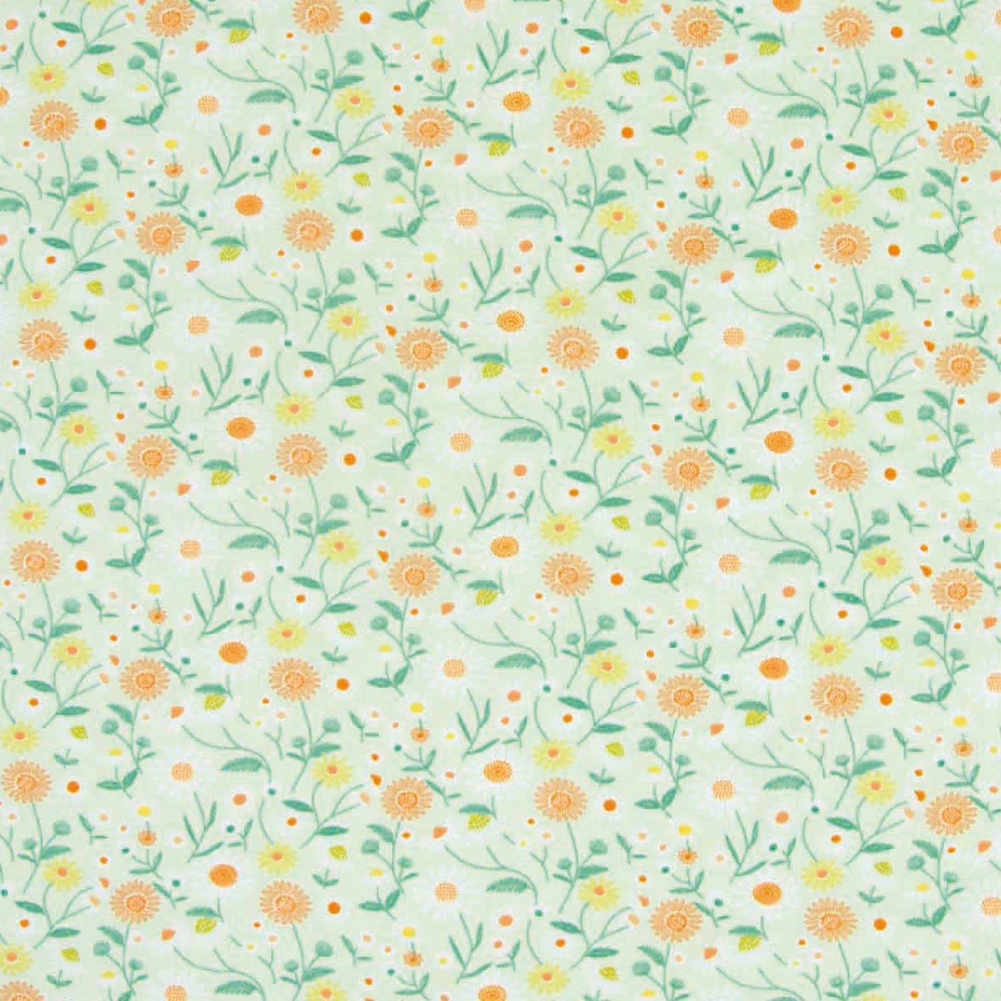 Jersey Marguerites