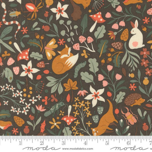 Cotone Americano Acorn Hollow Flora and Fauna Soil