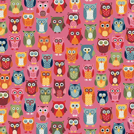 Autumn Days Owls